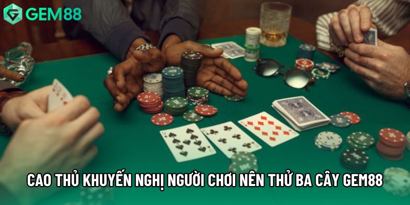 Cao thủ khuyến nghị người chơi nên thử game ba cây tại gem88 Cao thủ khuyến nghị người chơi nên thử game ba cây tại gem88